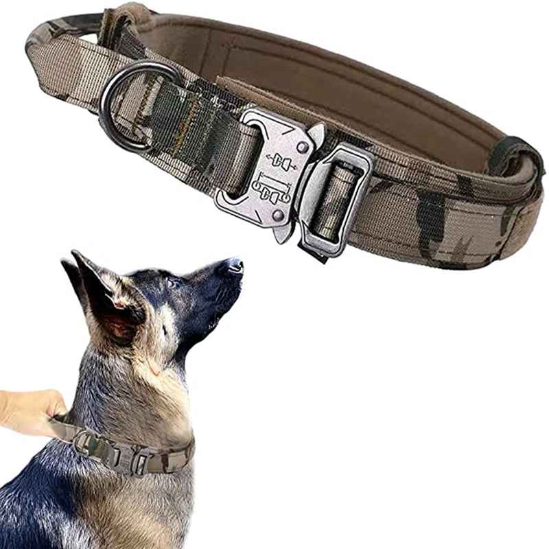 collier pour chien tacticalpro camouflage