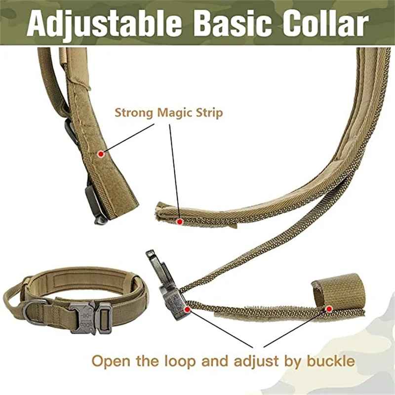 collier pour chien tacticalpro laisse assortie