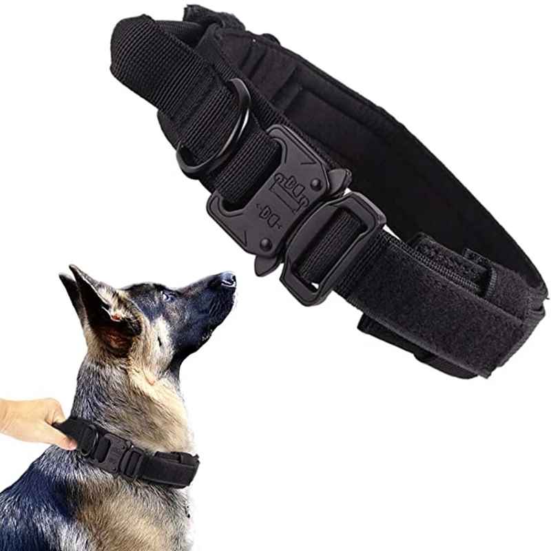 Collier pour chien TacticalPro ™