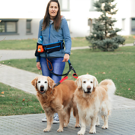 double laisse chien femme balade