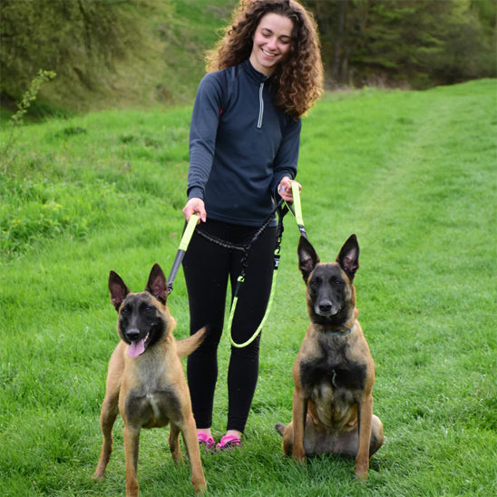 double laisse chien walkconfort