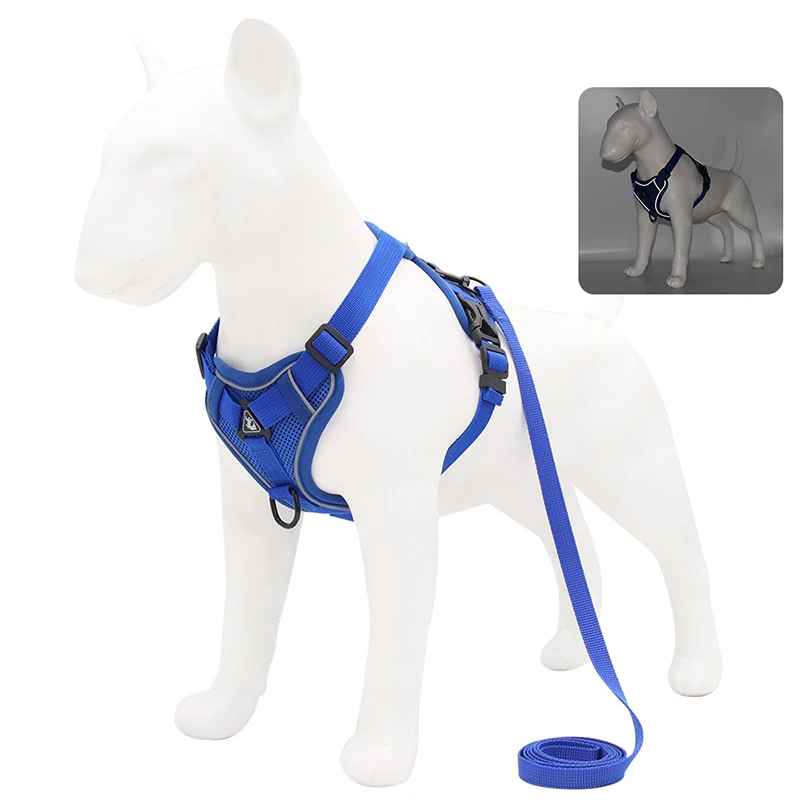 harnais anti traction chien confort bleu