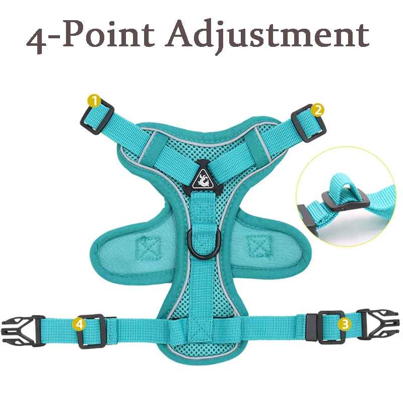 harnais anti traction chien confort photo