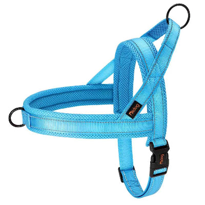 harnais anti traction pour chien couleur bleu