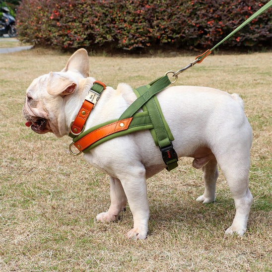 harnais chien anti traction ergonomique balade