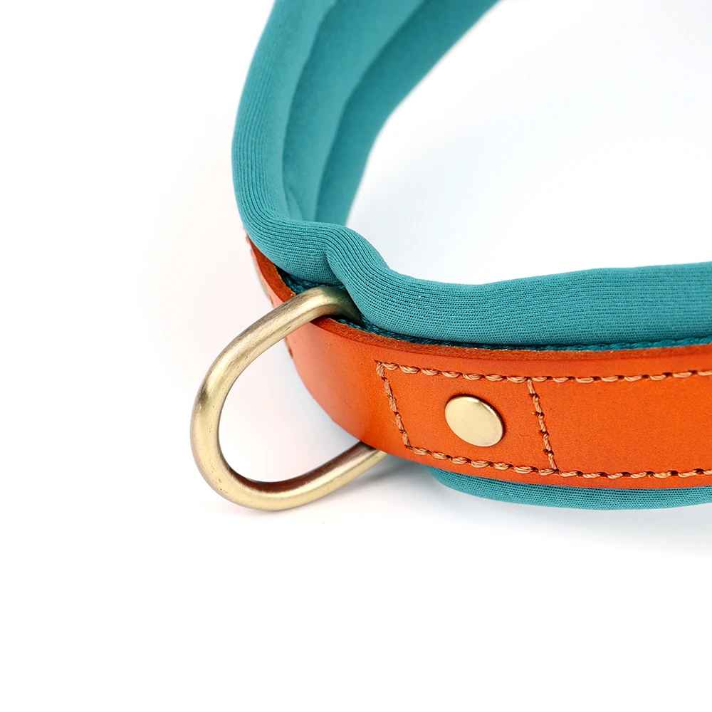 harnais chien anti traction ergonomique bleu boucle