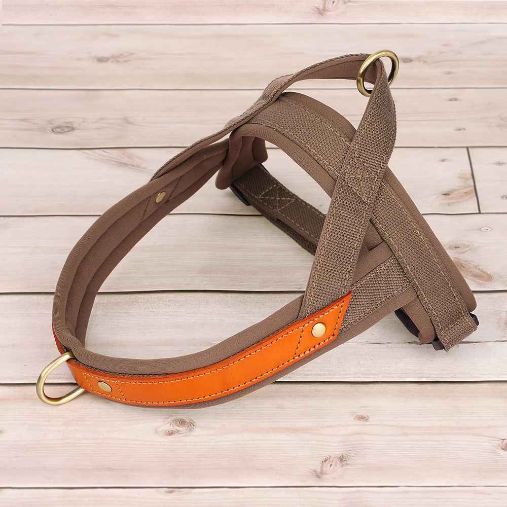 harnais chien anti traction ergonomique bleu marron