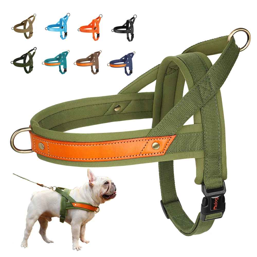 harnais chien anti traction ergonomique bleu palette de couleur