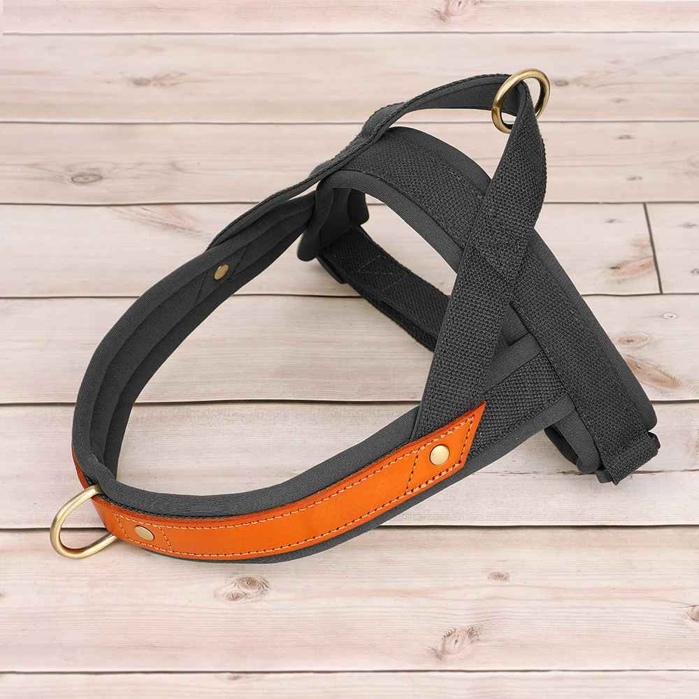 harnais chien anti traction ergonomique noir