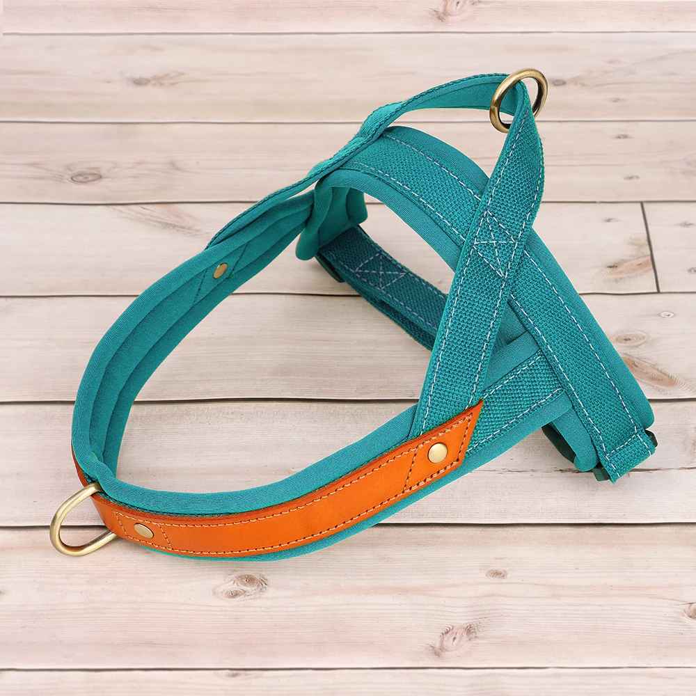 harnais chien anti traction ergonomique vert