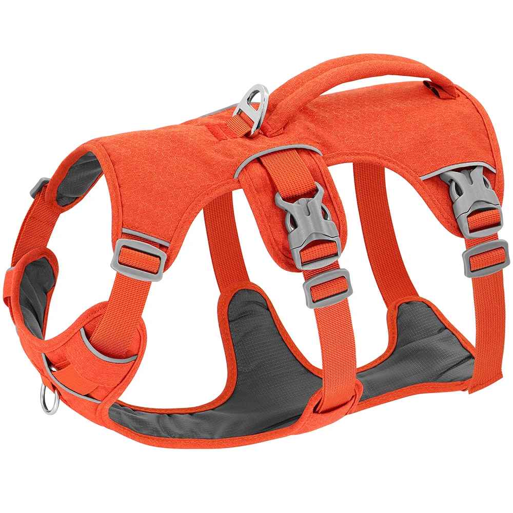 harnais chien balade serein orange