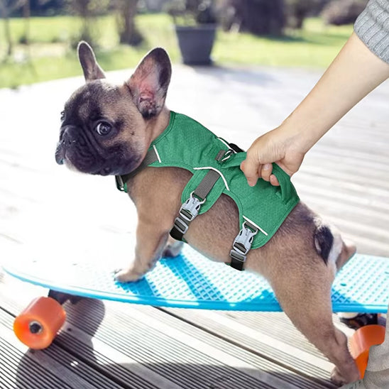 harnais chien balade serein planche