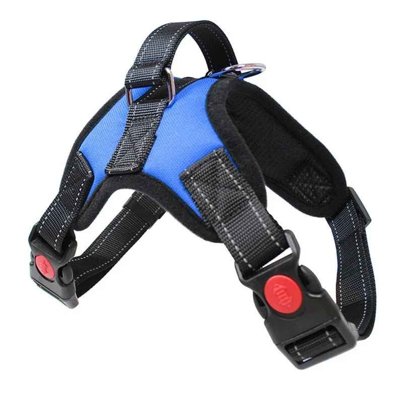 harnais chien confort premium bleu