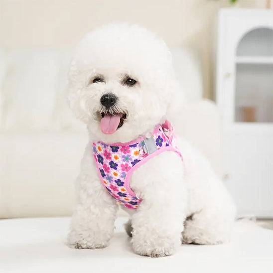 harnais petit chien floral confort chien blanc
