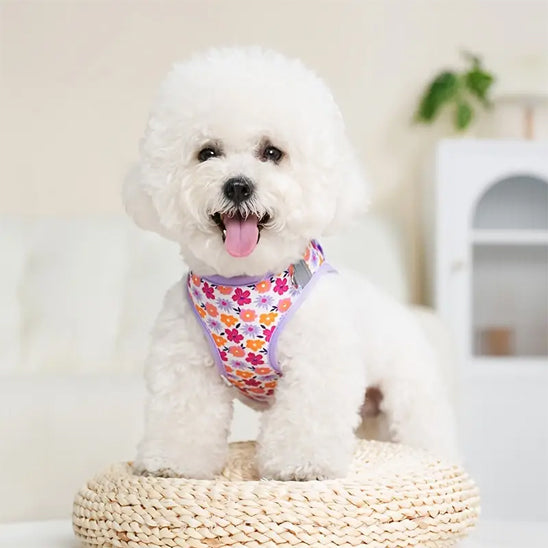 harnais petit chien floral confort panier