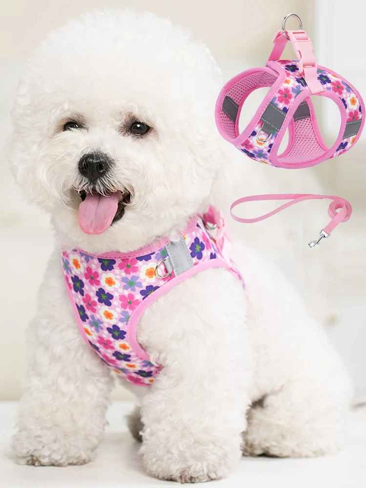 harnais petit chien floral confort technique