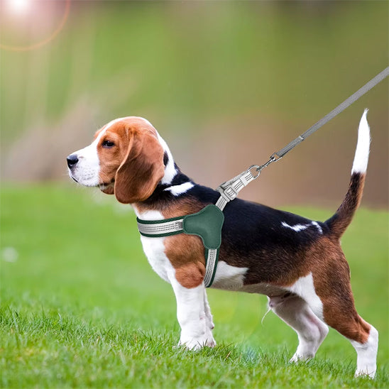 harnais pour chien ergonomique pelouse