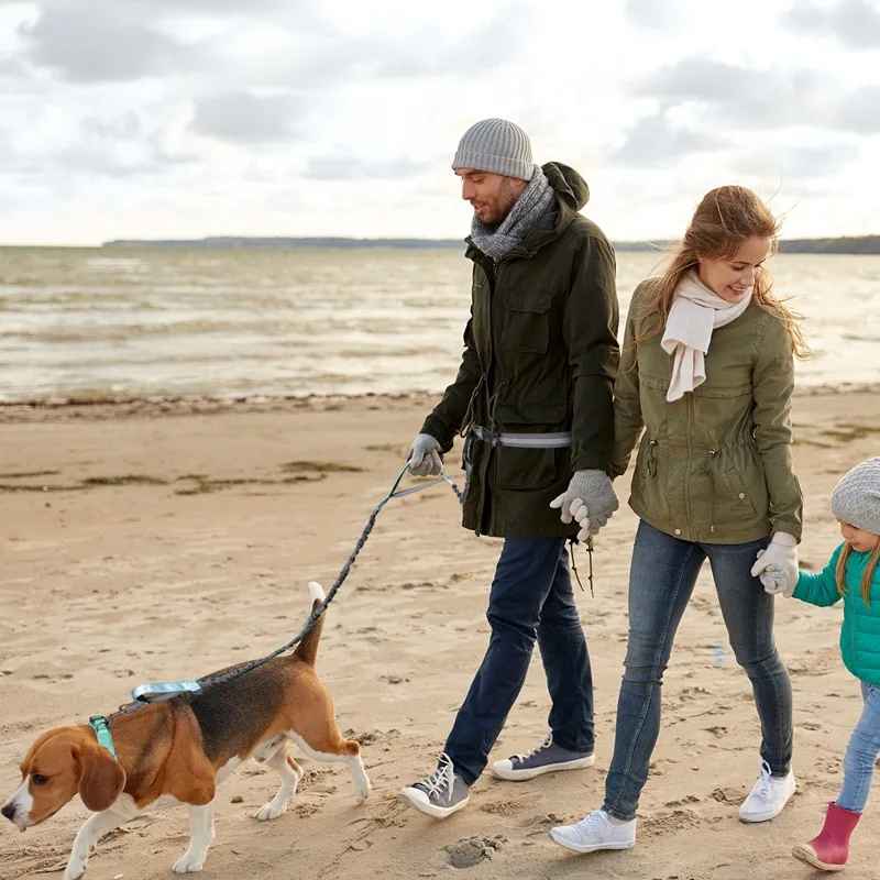 laisse canicross flexamortissante balade en famille