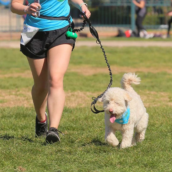 laisse canicross flexamortissante femme chien court