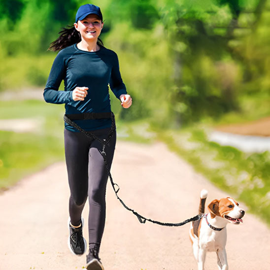 laisse canicross flexamortissante footing