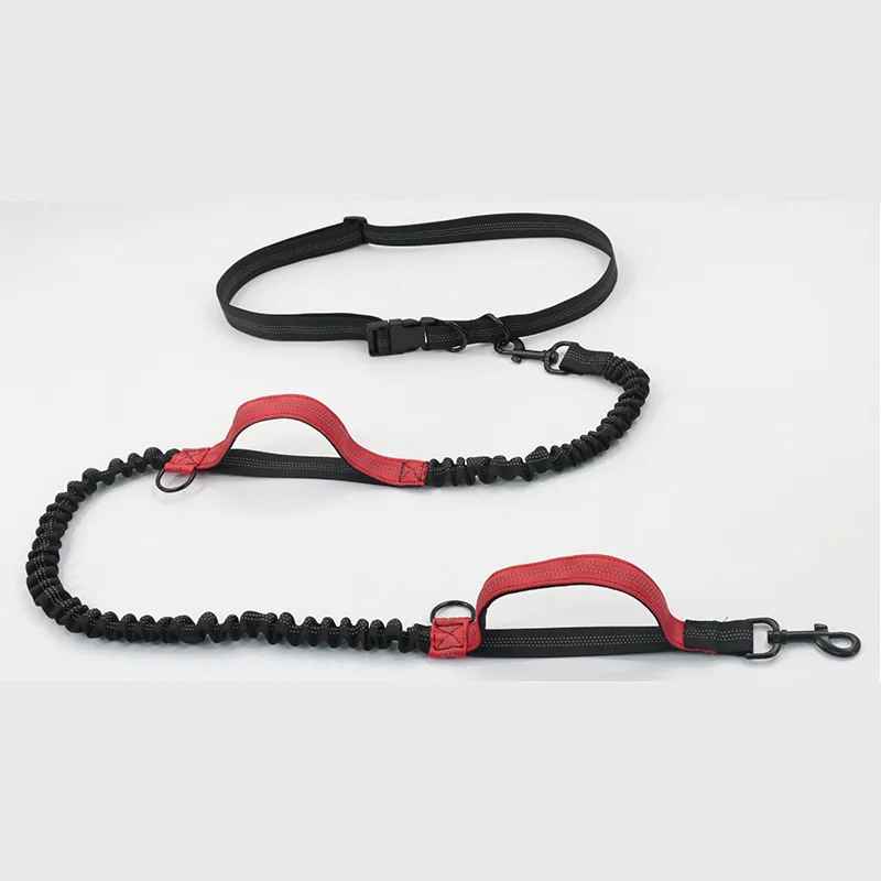 laisse canicross flexamortissante rouge