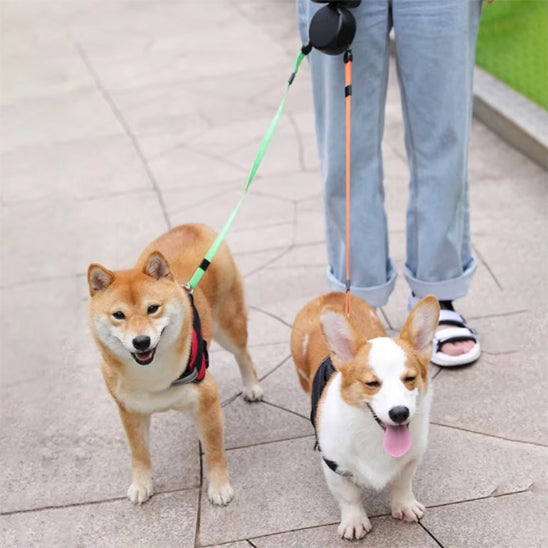laisse chien enrouleur dogfreedom balade