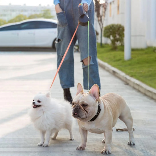 laisse chien enrouleur dogfreedom deux chiens