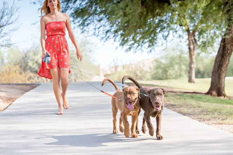 laisse chien enrouleur dogfreedom femme-balade