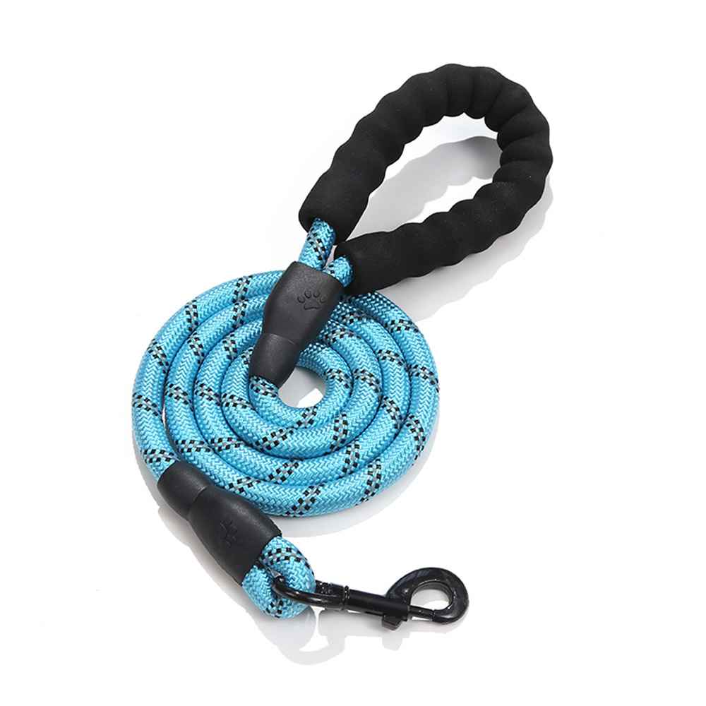 laisse de chien securiprom bleu