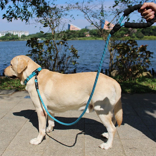 laisse de chien securiprom promonade