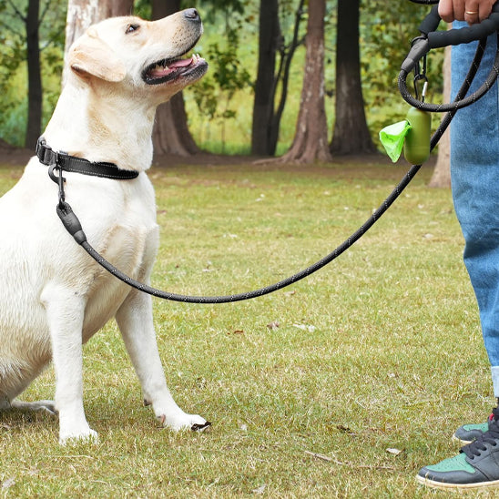 laisse de chien securiprom regard