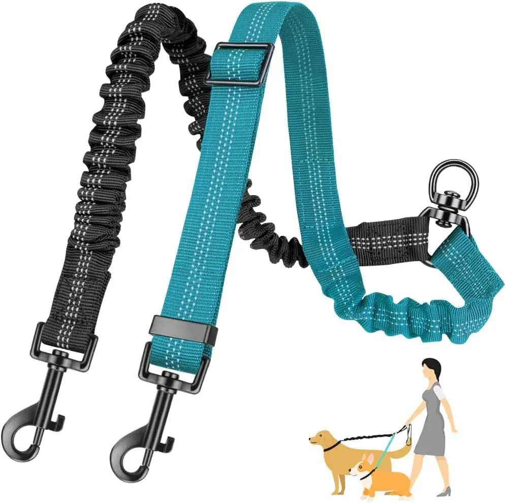 Laisse Double pour Chien DuoPaws ™