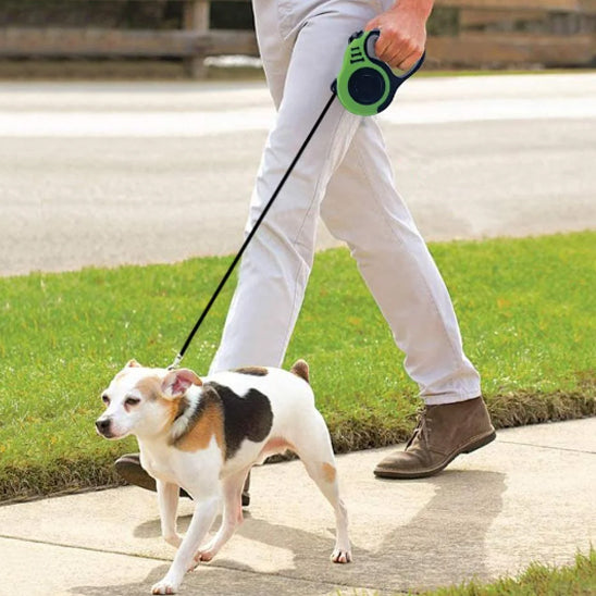 laisse pour chien enrouleur premium balade