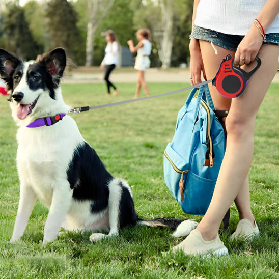 laisse pour chien enrouleur premium enfant