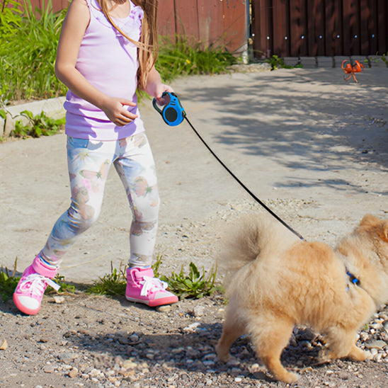laisse pour chien enrouleur premium promonade
