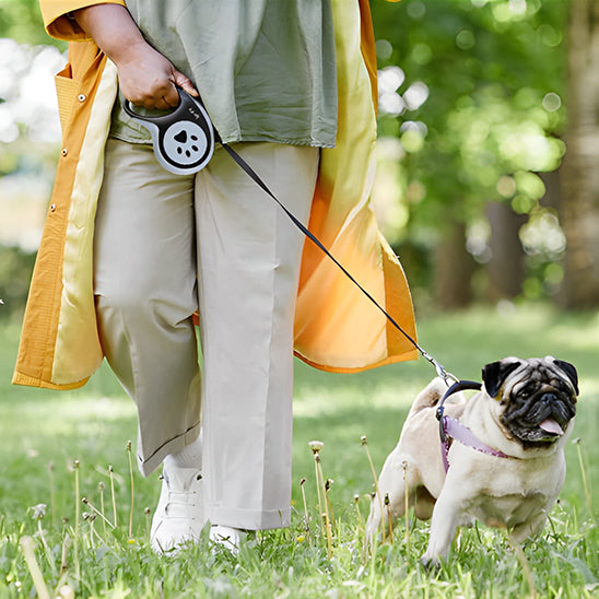 laisse pour chien freedog avec femme