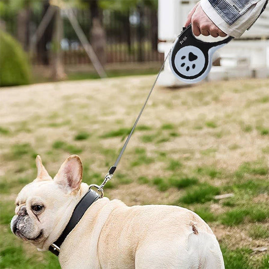 laisse pour chien freedog avec femme