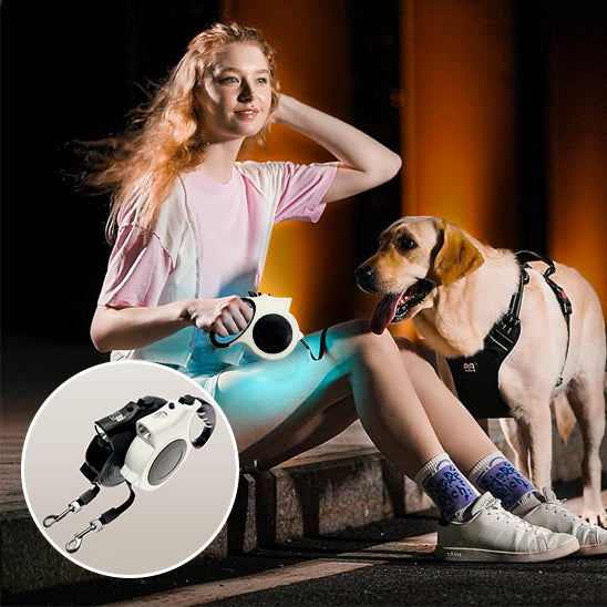 laisse pour chien nightwalk assis
