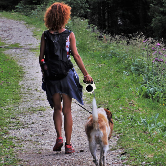 laisse pour chien nightwalk balade
