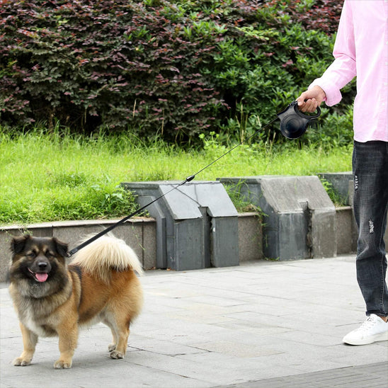 laisse pour chien nightwalk dressage