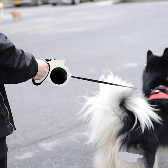 laisse pour chien nightwalk sortie