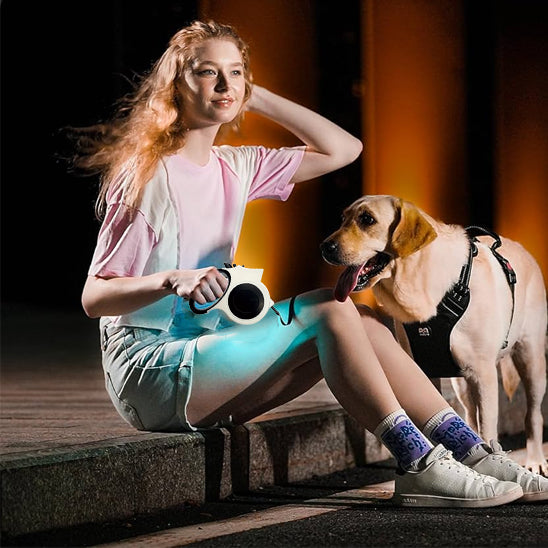 laisse pour chien nightwalk