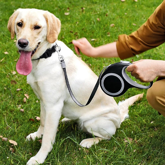 laisse pour chien robuste pawcontrol