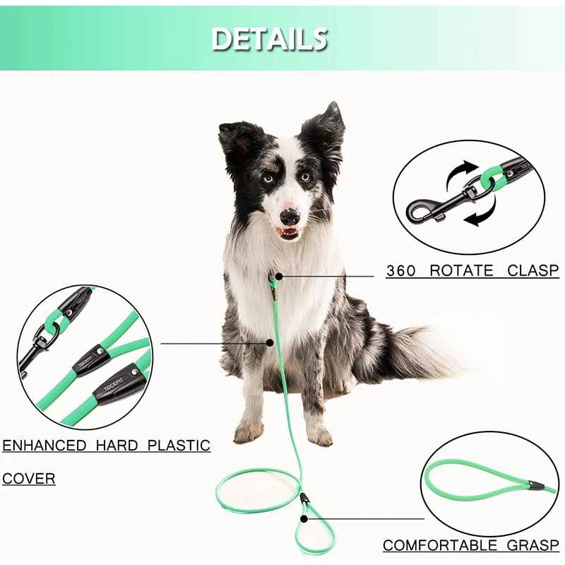 longe chien robuste technique