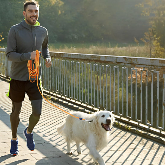 longe pour chien liberte pont