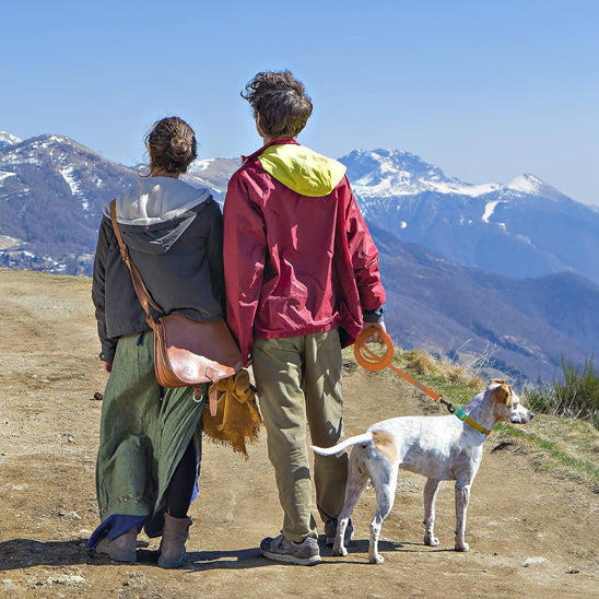 longe pour chien robuste montagne
