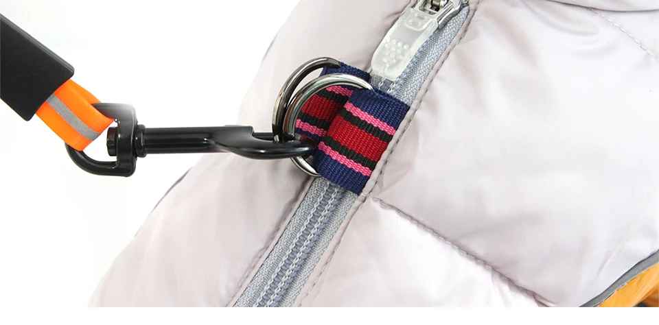 manteau chien douillet harnais