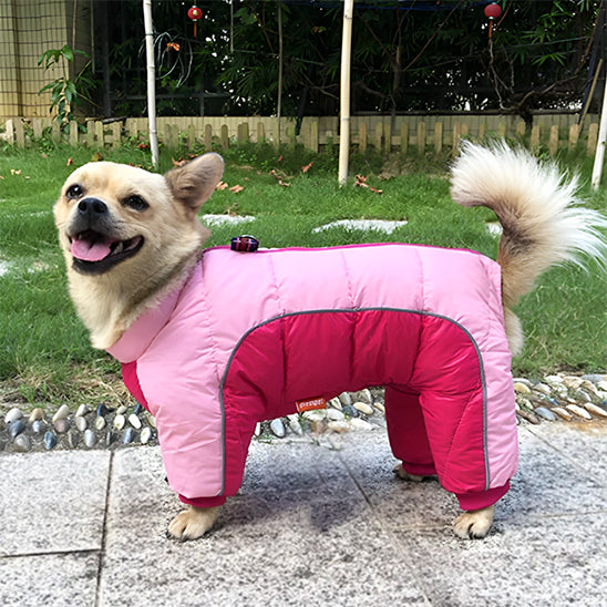 manteau chien douillet parc