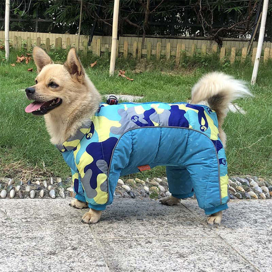 manteau chien douillet