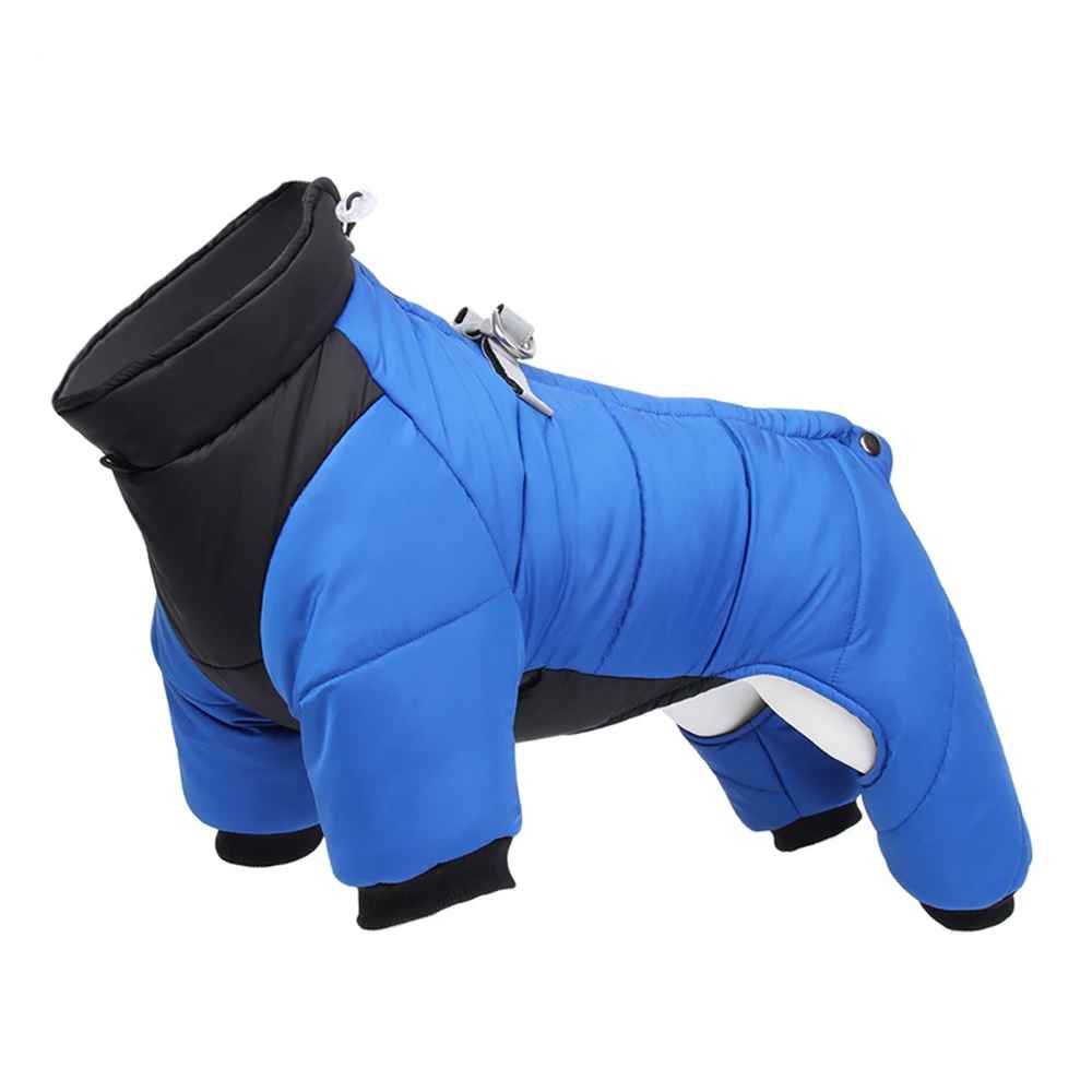 manteau chien imperconfort bleu